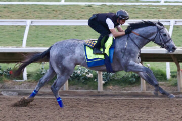 Brant working out at Del Mar