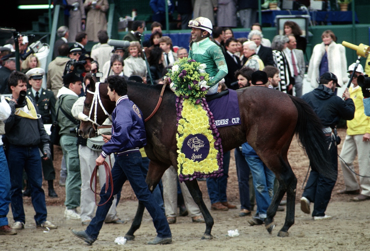 Gulch wins at the 1988 Breeders' Cup Sprint.