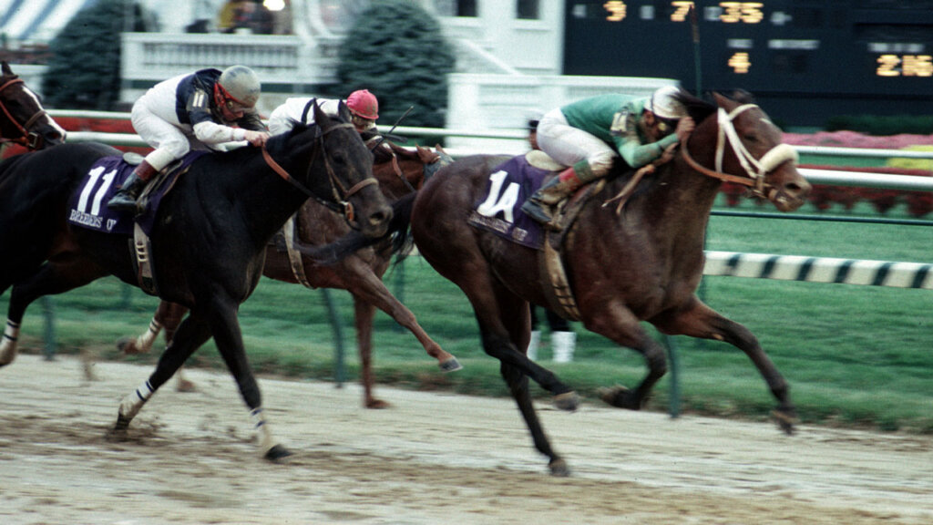Gulch wins at the 1988 Breeders' Cup Sprint.