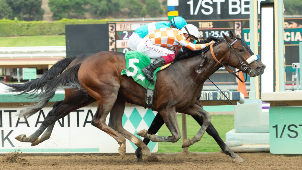 Mr. A. P. wins at Santa Anita 2025 (Photo by Benoit Photography)