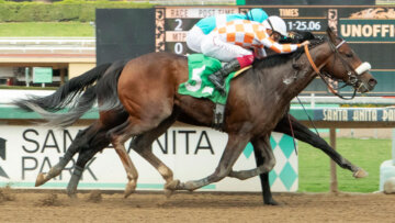 Mr. A. P. wins at Santa Anita 2025 (Photo by Benoit Photography)