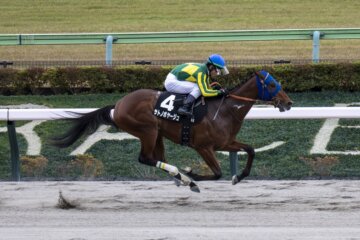 Satono Voyage wins the Cattleya S. at Tokyo