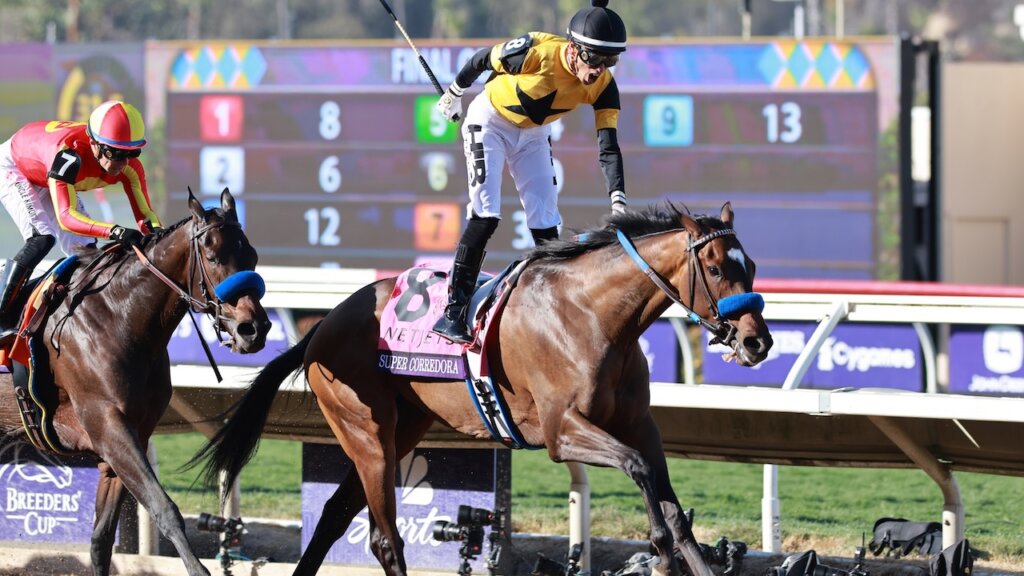 Super Corredora wins the Breeders' Cup Juvenile Fillies at Del Mar.