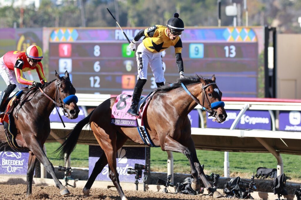 Super Corredora wins the Breeders' Cup Juvenile Fillies at Del Mar.