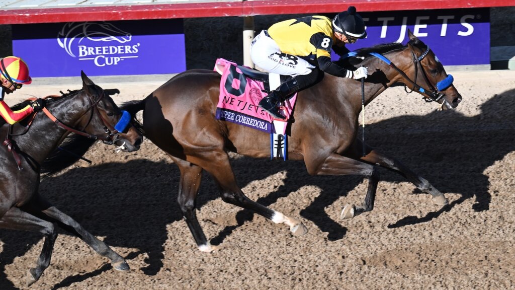 Super Corredora wins the Breeders' Cup Juvenile Fillies at Del Mar.