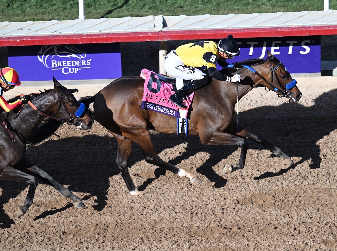 Super Corredora wins the Breeders' Cup Juvenile Fillies at Del Mar.