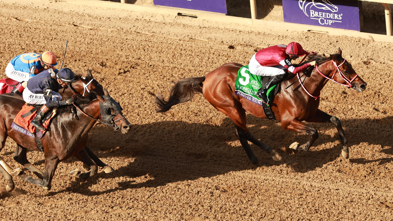 Forever Young wins the Breeders' Cup Classic at Del Mar 2025 (Photo by Horsephotos.com)