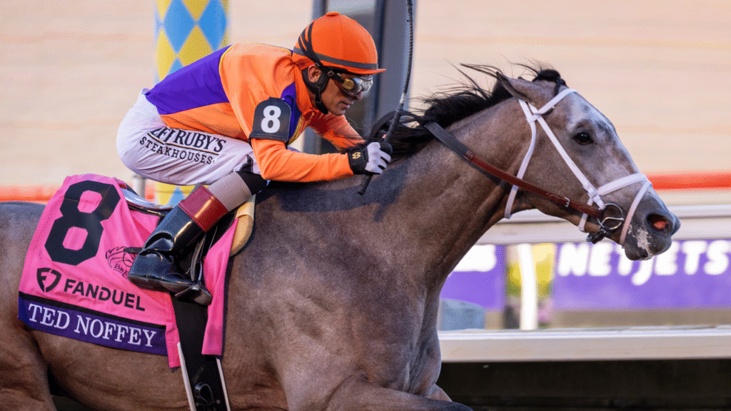 Ted Noffey wins the Breeders' Cup Juvenile at Del Mar 2025 (Photo by Horsesphotos.com)