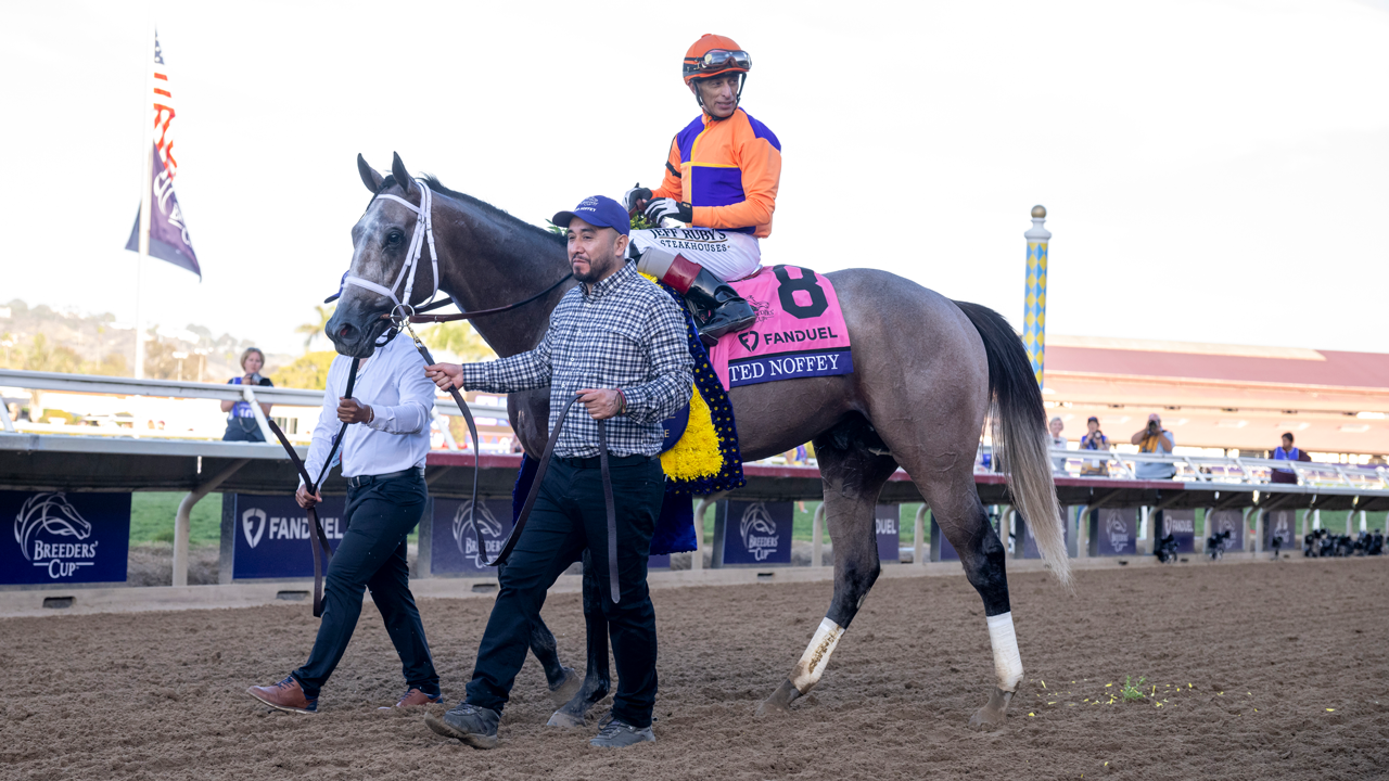 Ted Noffey wins the Breeders' Cup Juvenile at Del Mar 2025 (Photo by Horsesphotos.com)