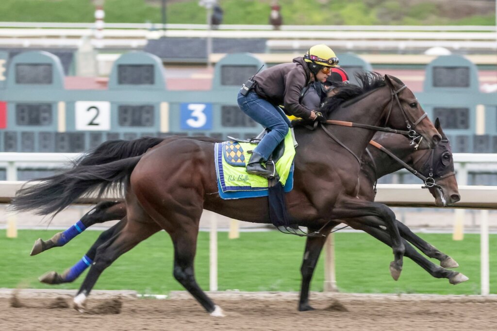 Blacksmith works at Santa Anita Park.