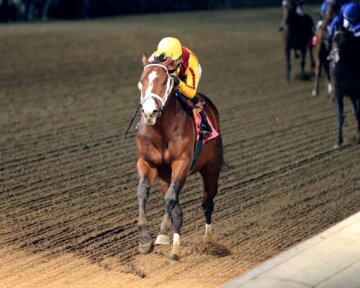 Cannoneer wins at Churchill Downs.