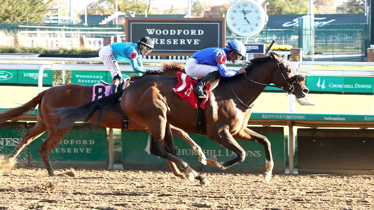 Energize wins race 7 at Churchill Downs on November 16, 2025. (Photo by Coady Media)