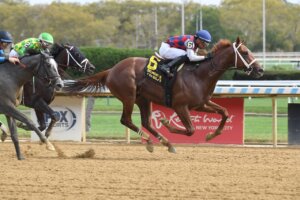 Igniter wins at Aqueduct.