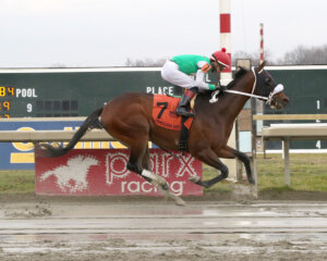 Mailata wins the Pennsylvania Nursery Stakes at Parx Racecourse.