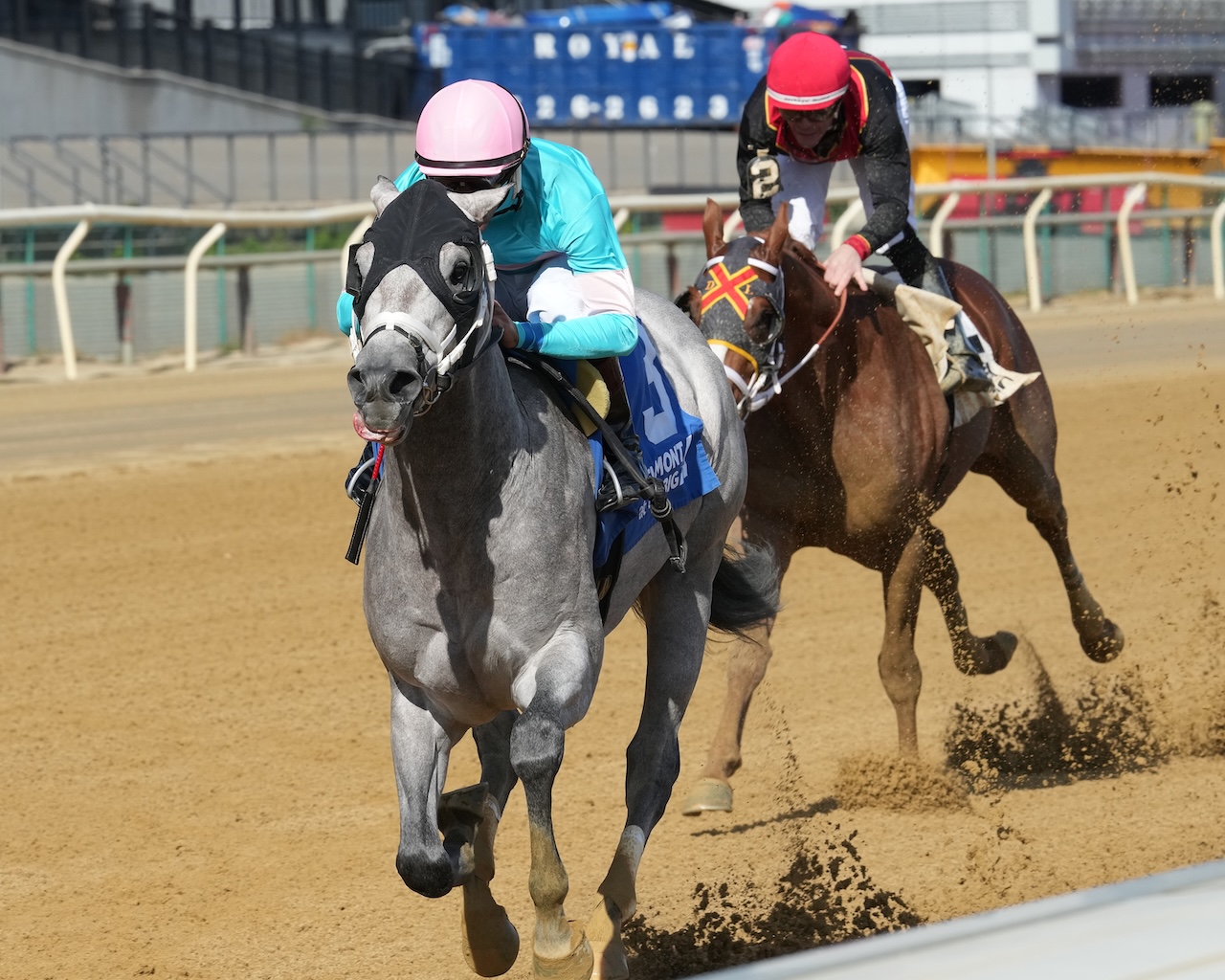 My World wins the Nashua at Belmont at the Big A.