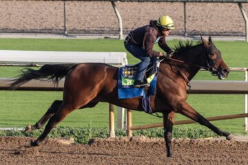 Nimah training at Santa Anita