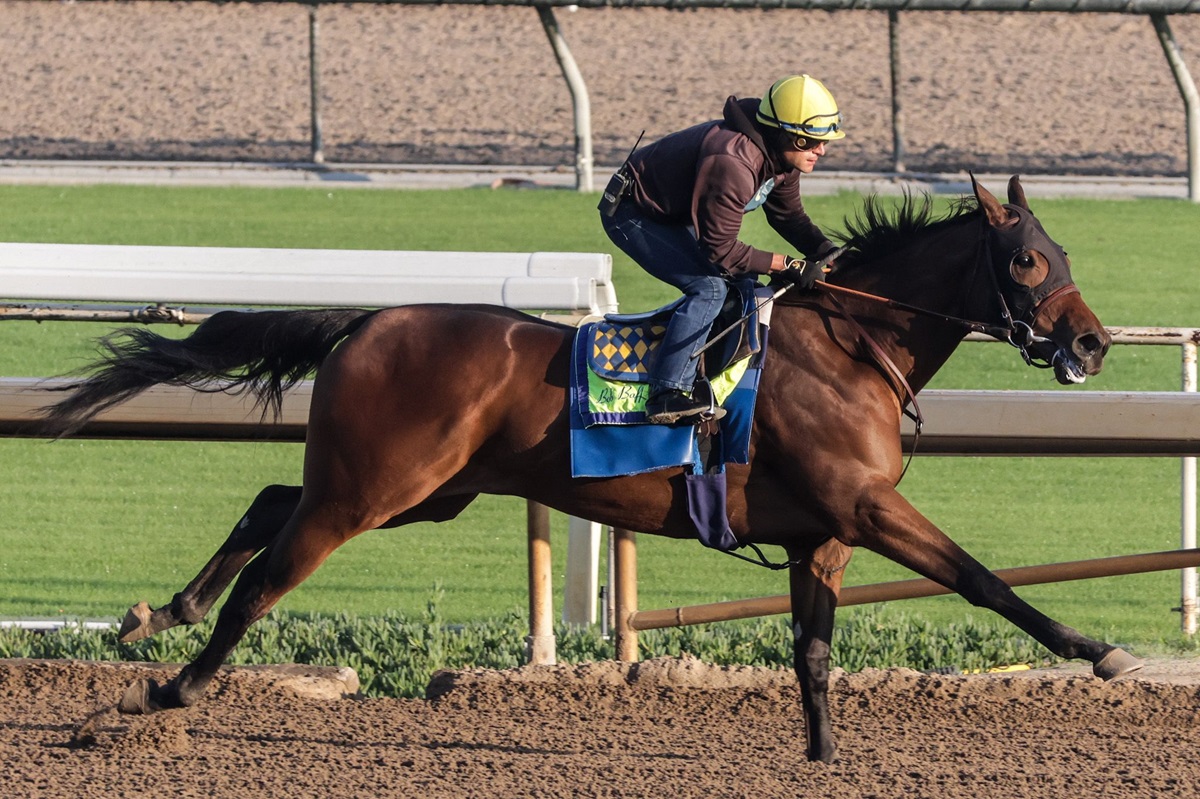 Nimah training at Santa Anita