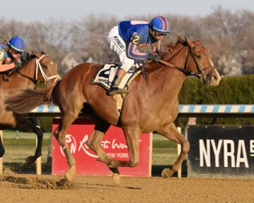Paladin wins the Remsen Stakes at Aqueduct.