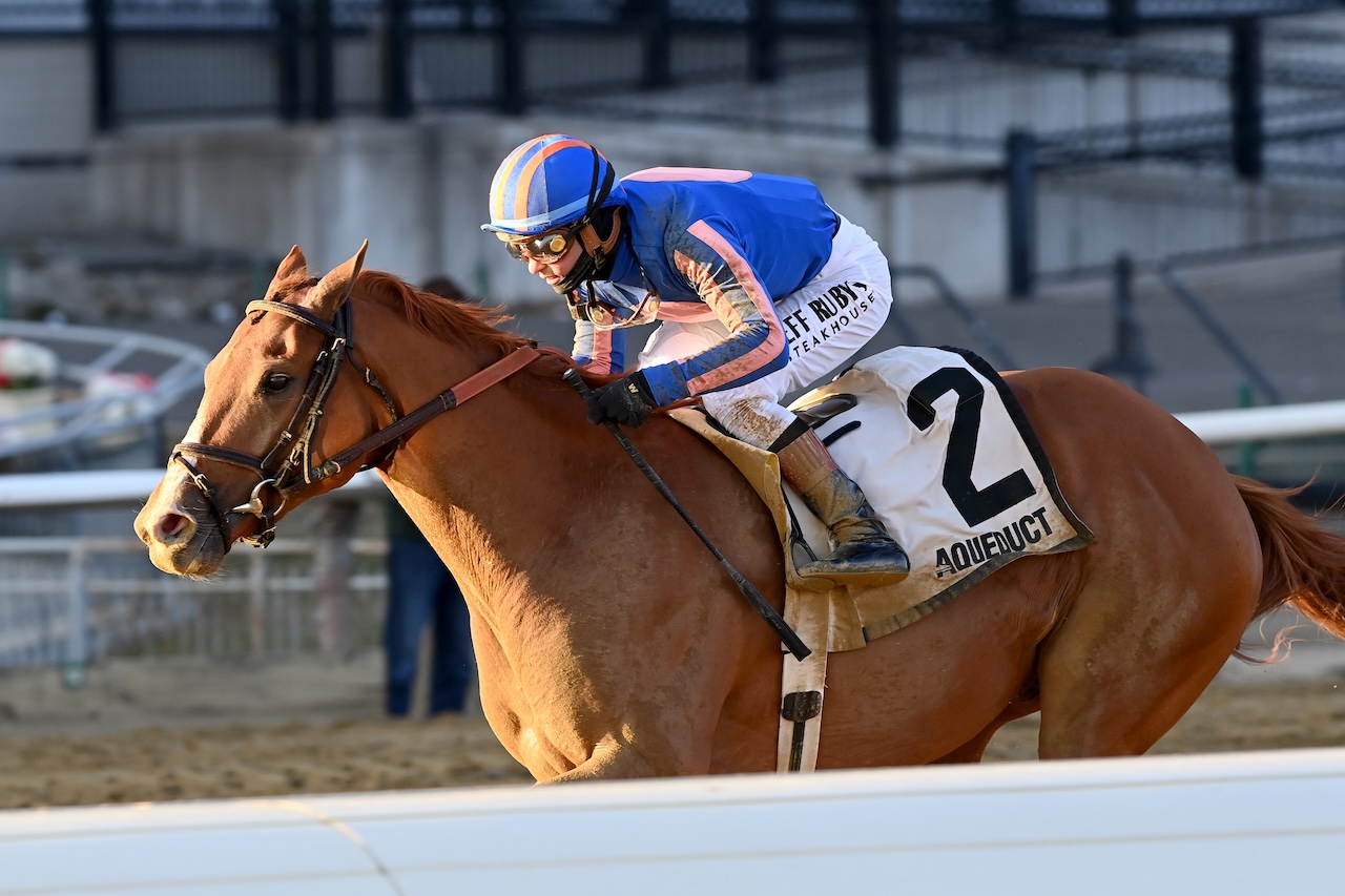 Paladin wins the Remsen Stakes at Aqueduct.