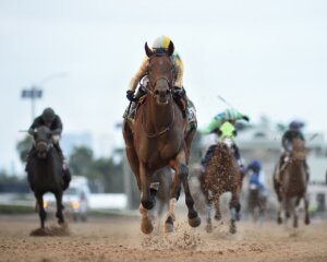 Strategic Risk wins the Florida Sire S. in Reality Division.