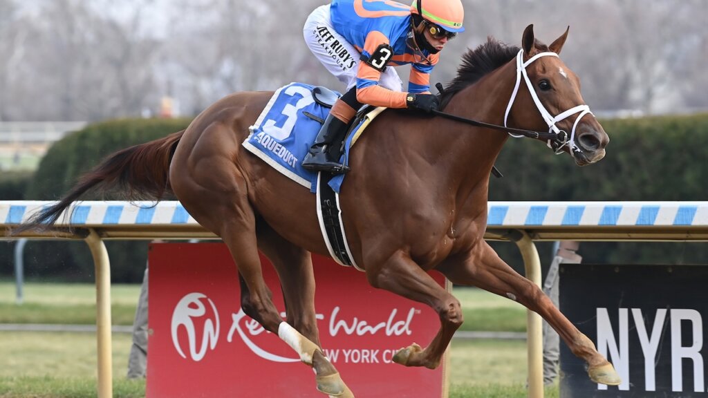 Zany wins the Demoiselle at Aqueduct.