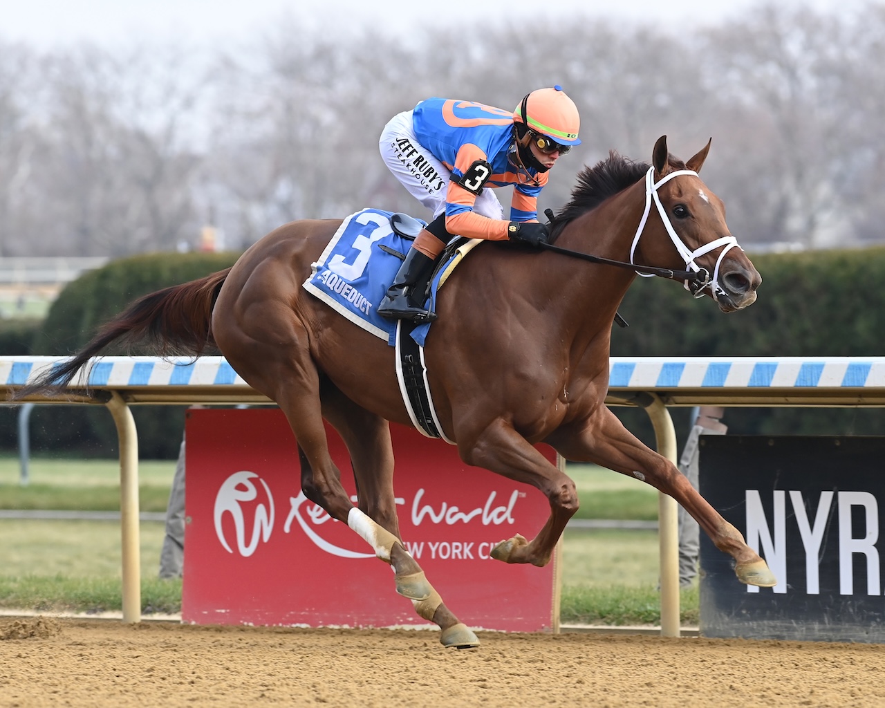 Zany wins the Demoiselle at Aqueduct.