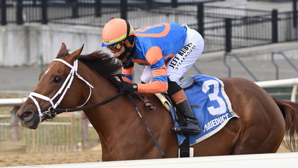 Zany wins the Demoiselle at Aqueduct.