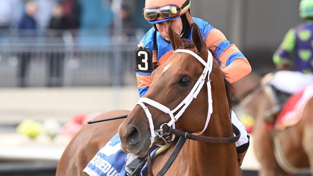Zany wins the Demoiselle at Aqueduct.