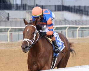 Zany wins the Demoiselle at Aqueduct.