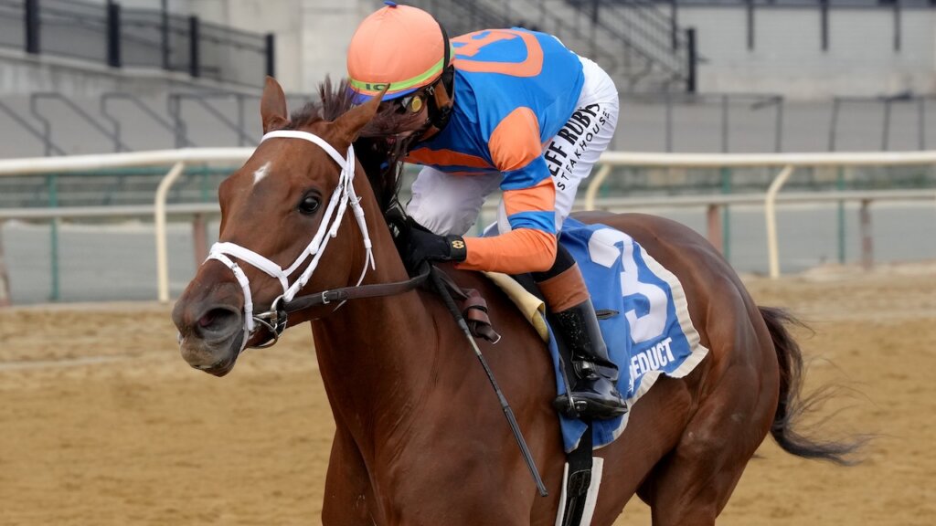 Zany wins the Demoiselle at Aqueduct.
