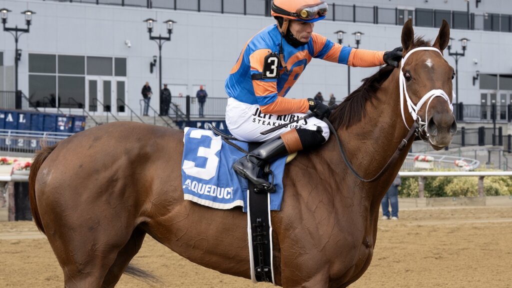 Zany wins the Demoiselle at Aqueduct.