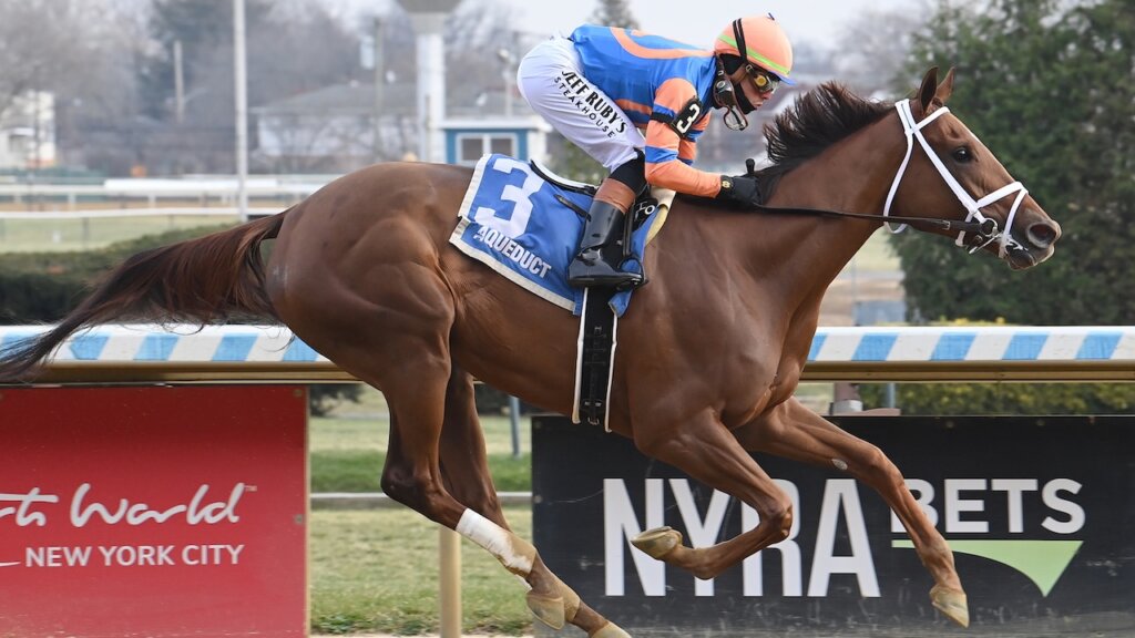 Zany wins the Demoiselle at Aqueduct.