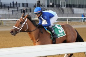 Dazzling Dame wins the Busanda Stakes at Aqueduct.