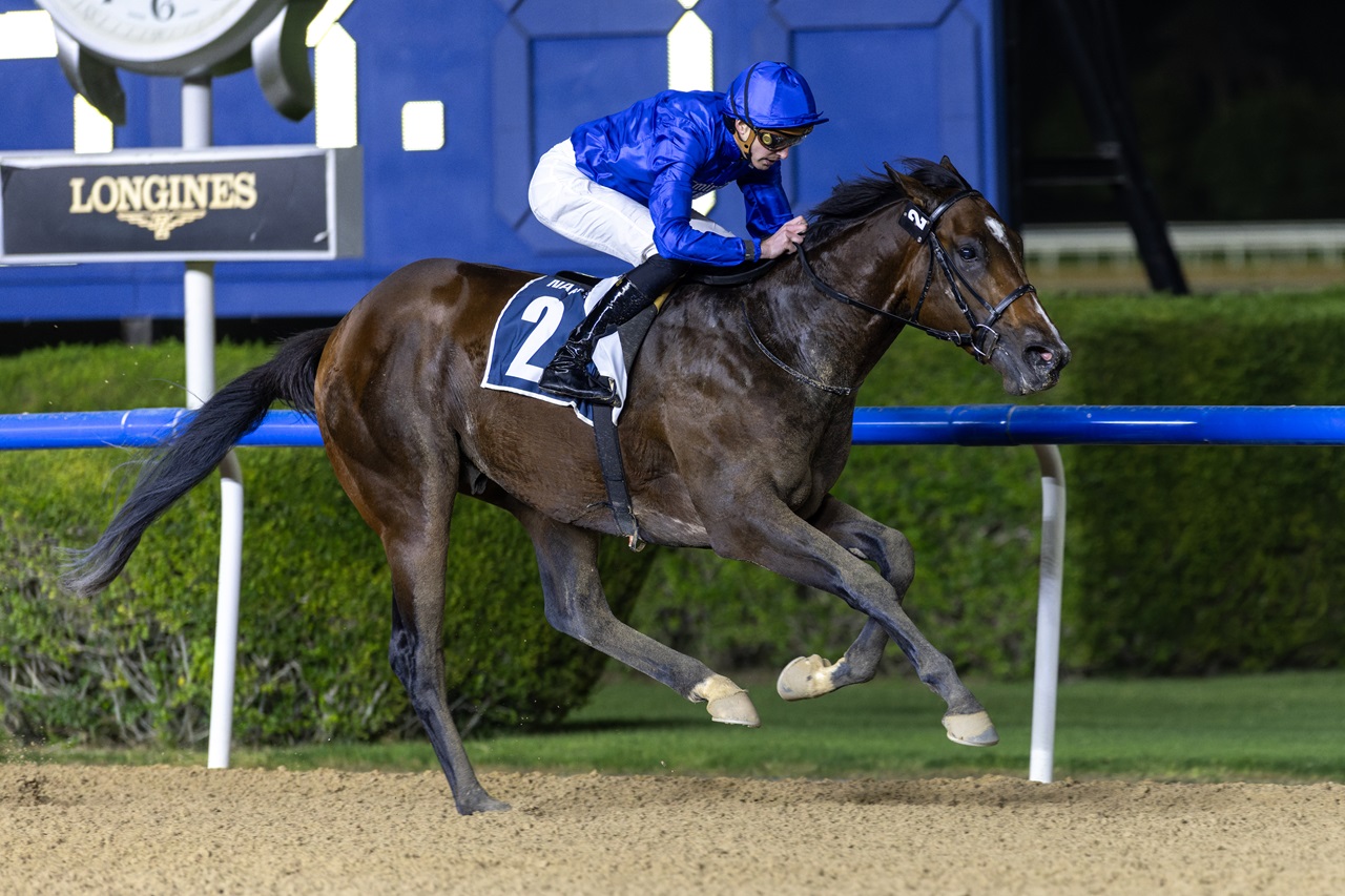 Devon Island wins at Meydan Dec. 12, 2025