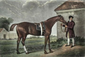 Painting of the great racehorse and foundation sire Eclipse by George Stubbs