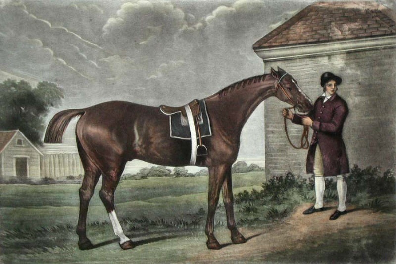 Painting of the great racehorse and foundation sire Eclipse by George Stubbs