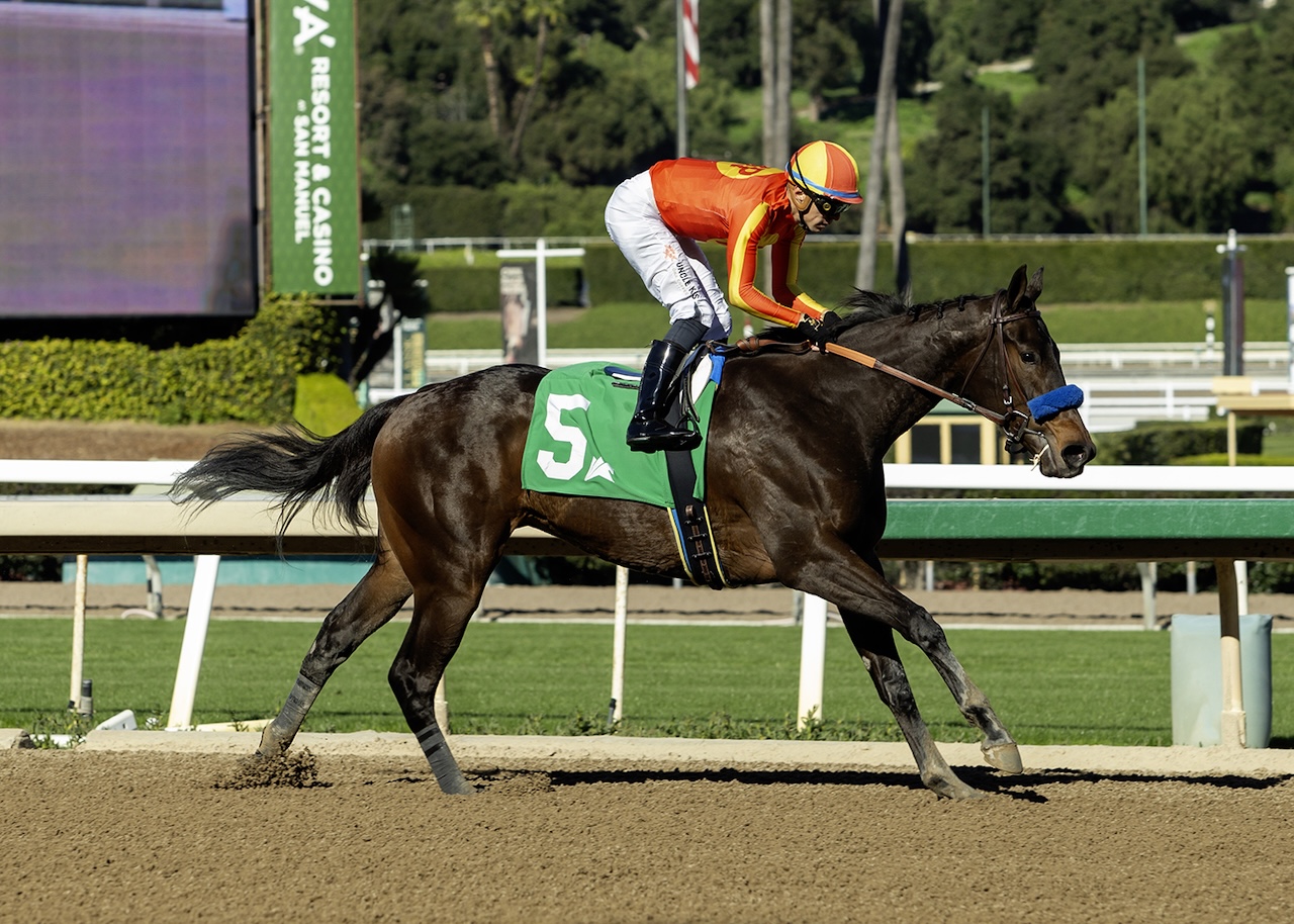 Expora wins the Santa Ynez at Santa Anita.
