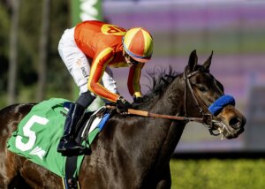 Expora wins the Santa Ynez at Santa Anita.