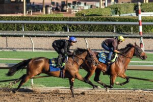 Greenwich Villiage works at Santa Anita.