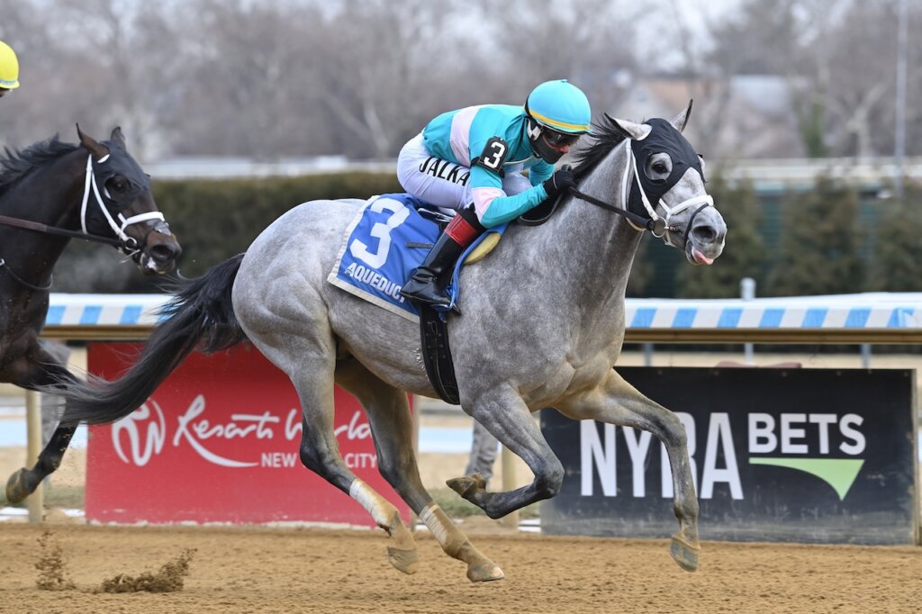 My World wins the Jerome Stakes at Aqueduct.