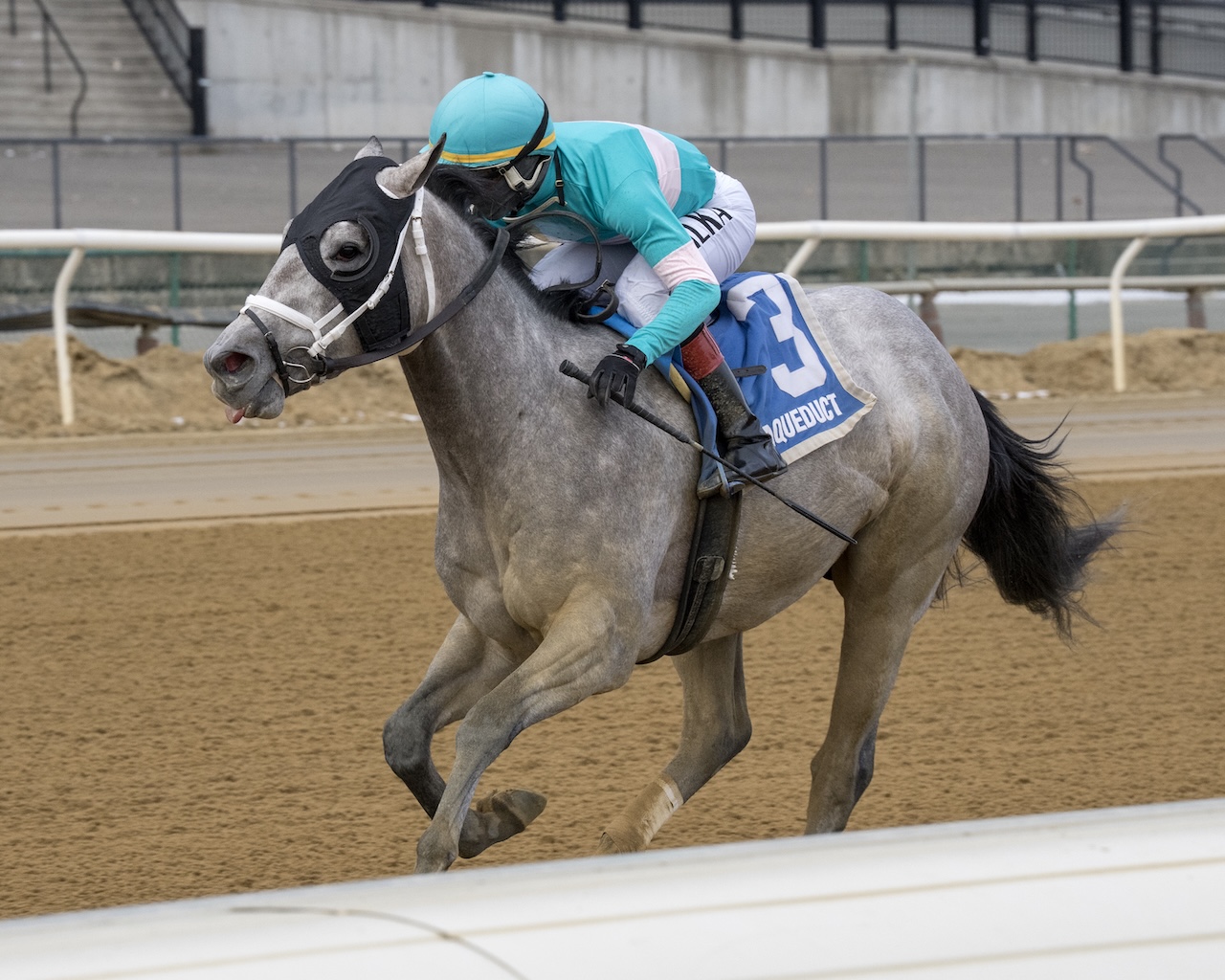 My World wins the Jerome Stakes at Aqueduct.