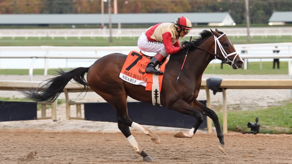 Nearly wins the Holy Bull at Gulfstream Park.