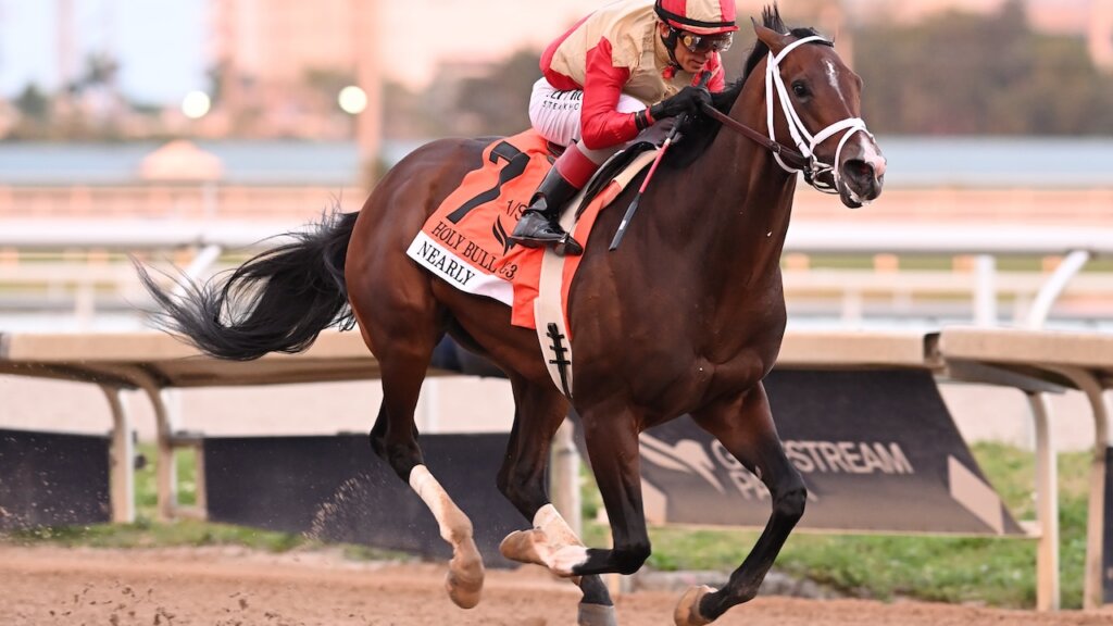 Nearly wins the Holy Bull at Gulfstream Park.