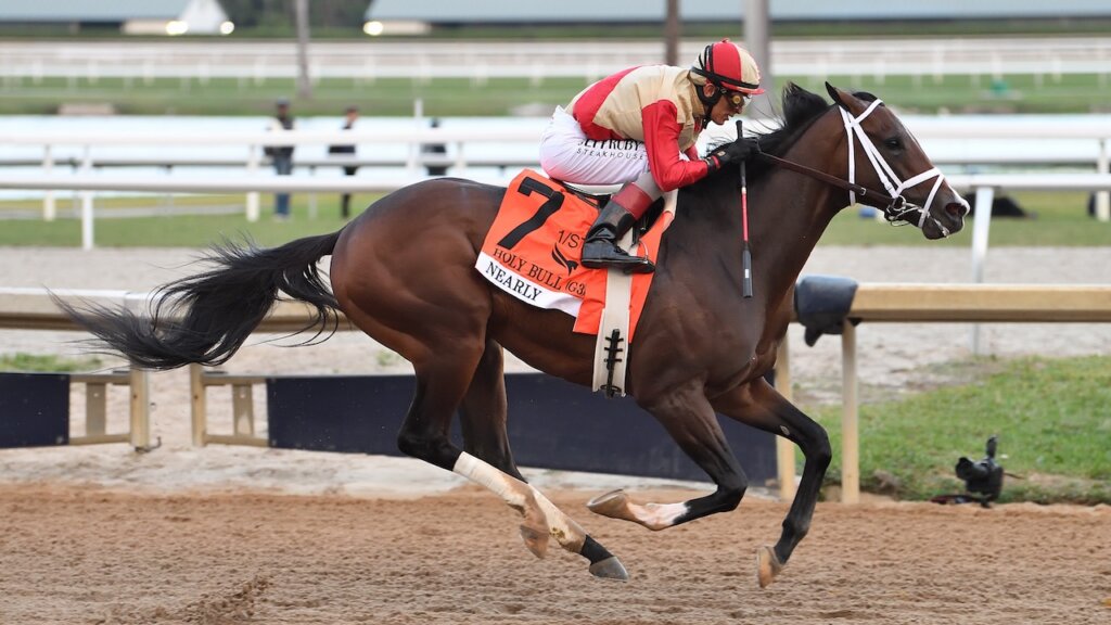 Nearly wins the Holy Bull at Gulfstream Park.