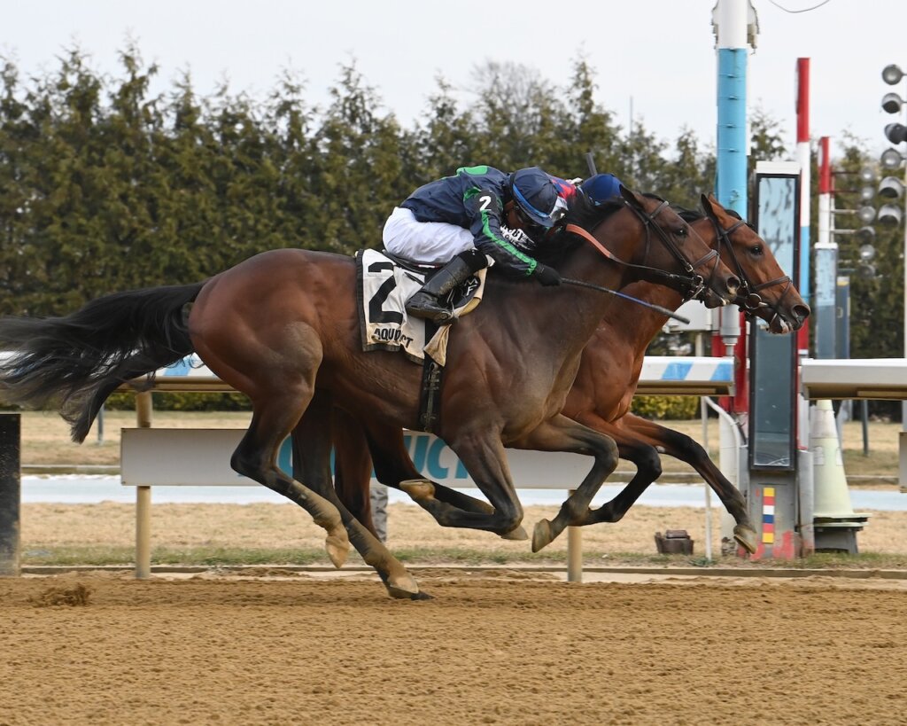 Ottinho wins at Aqueduct.
