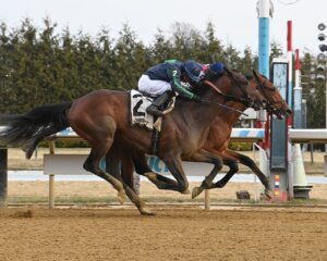 Ottinho wins at Aqueduct. 