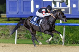 Six Speed had the gears to dominate the UAE 2000 Guineas