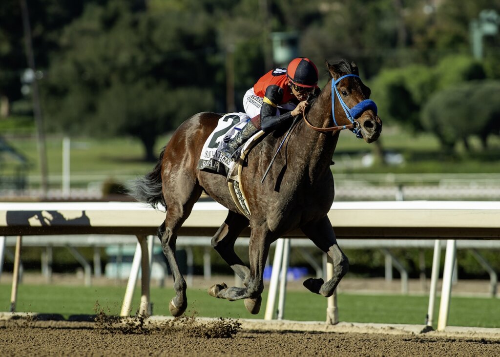 So Happy wins the San Vicente Stakes at Santa Anita