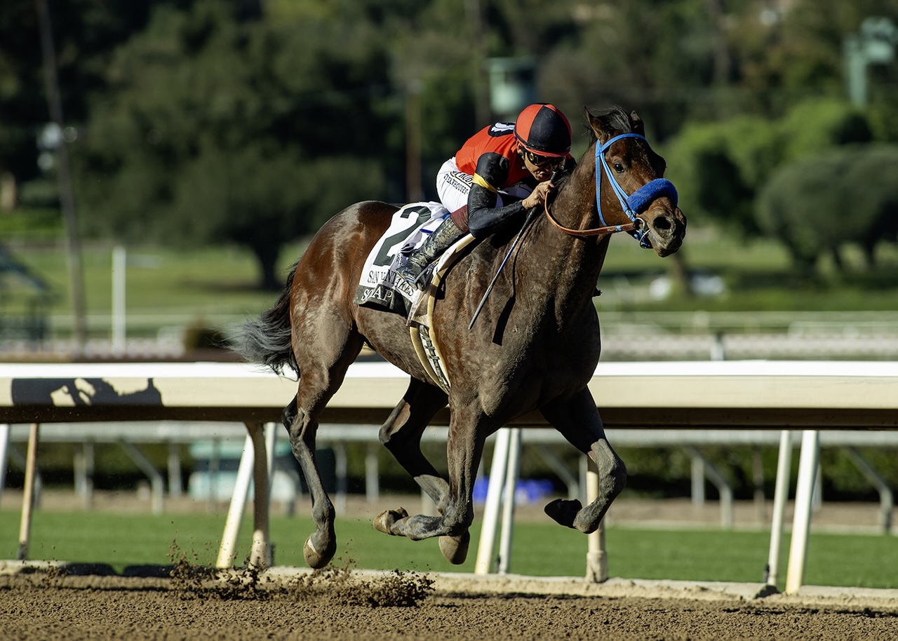 So Happy wins the San Vicente Stakes at Santa Anita