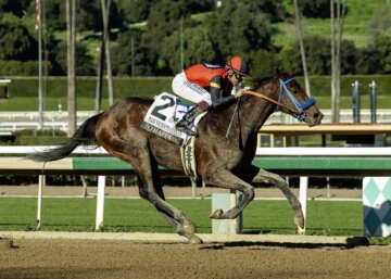 So Happy wins the San Vicente Stakes at Santa Anita